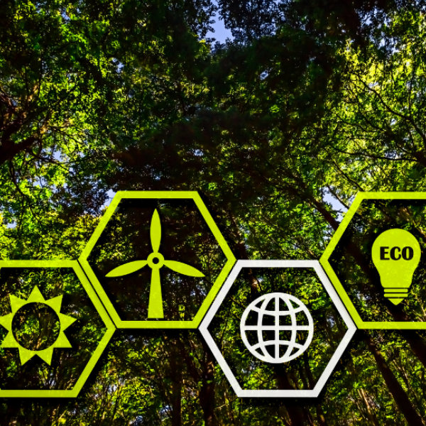 Achizițiile Publice Ecologice: o prioritate strategică pentru România