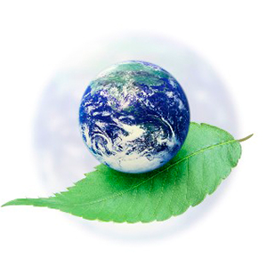 Ce servicii în domeniul protecției mediului oferă Sareco Business Invest deținătorilor și generatorilor de deșeuri, instituții de stat sau private