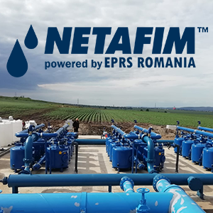 TEHNOLOGIILE VIITORULUI: IRIGAREA DE PRECIZIE prin picurare. Avantaje pentru lucrări peisagistice și agricultură