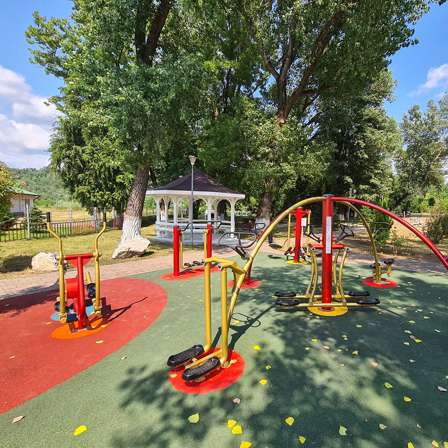 Interviu cu Negotei Alexandra, Sales Manager Lavitex Prod