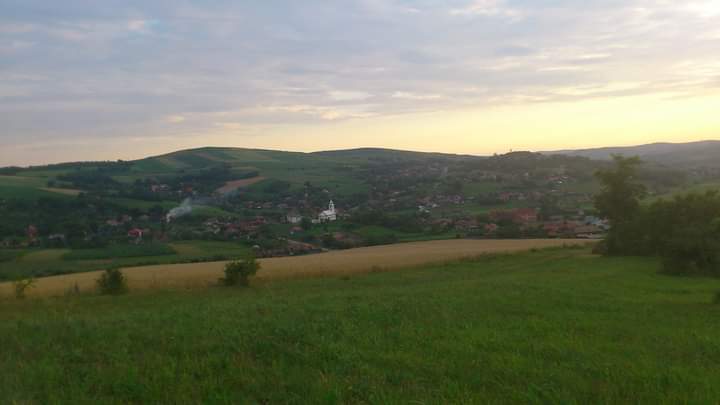 PRIMĂRIA POGĂCEAUA