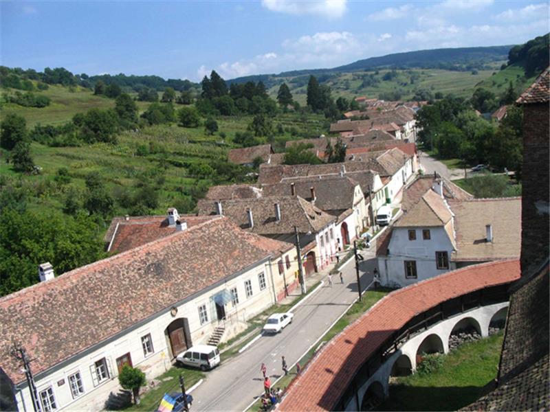 PRIMĂRIA VALEA VIILOR