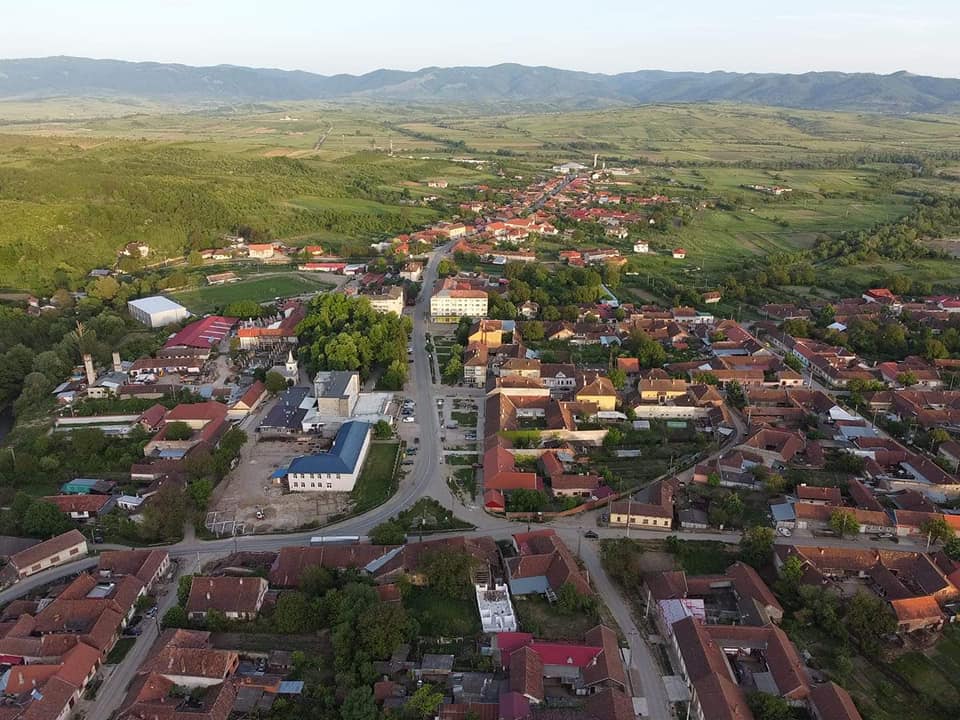 PRIMĂRIA BOZOVICI