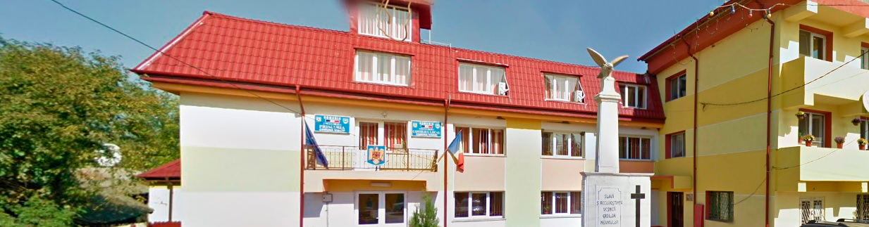 PRIMĂRIA VIŞANI