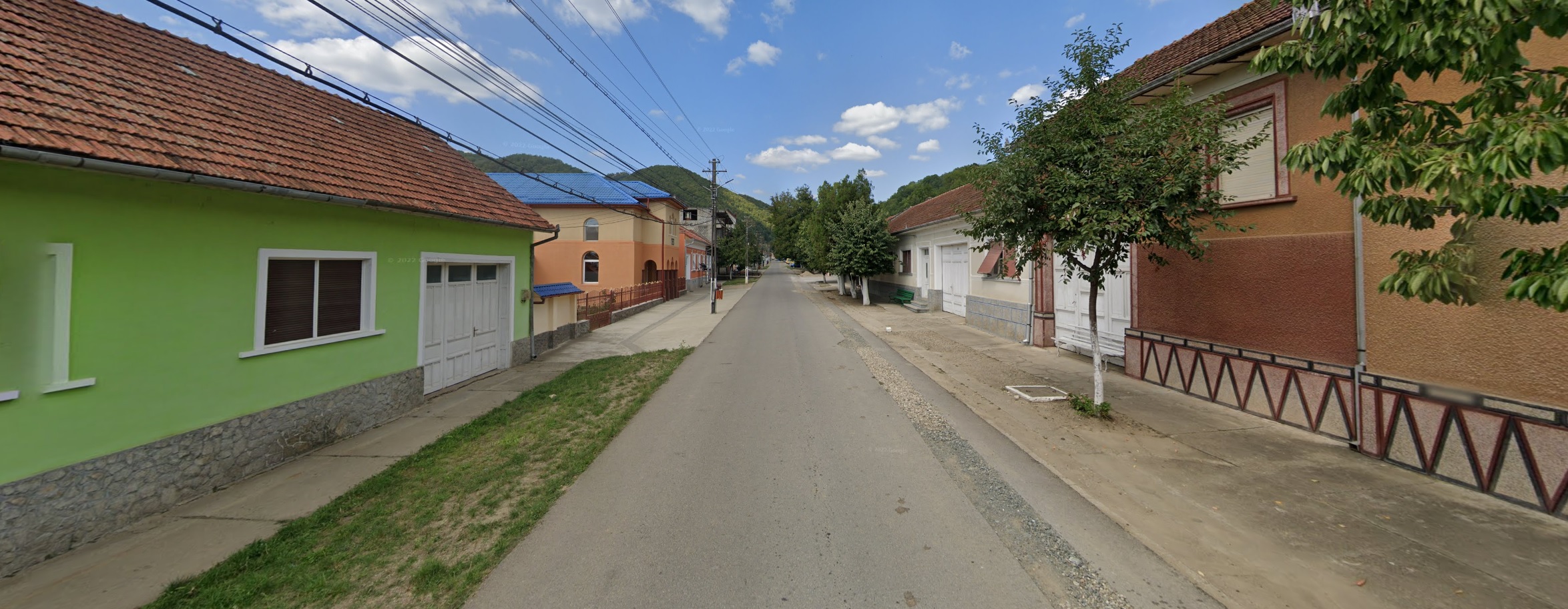 PRIMĂRIA LĂPUŞNICU MARE