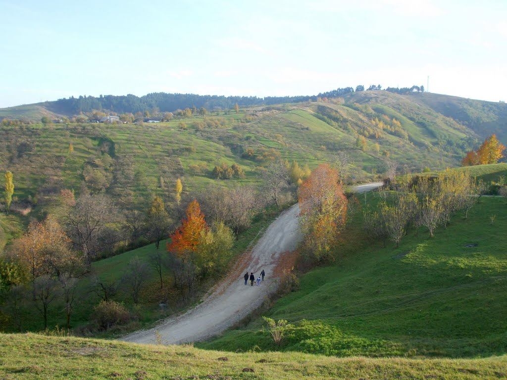 PRIMĂRIA GHINDĂOANI
