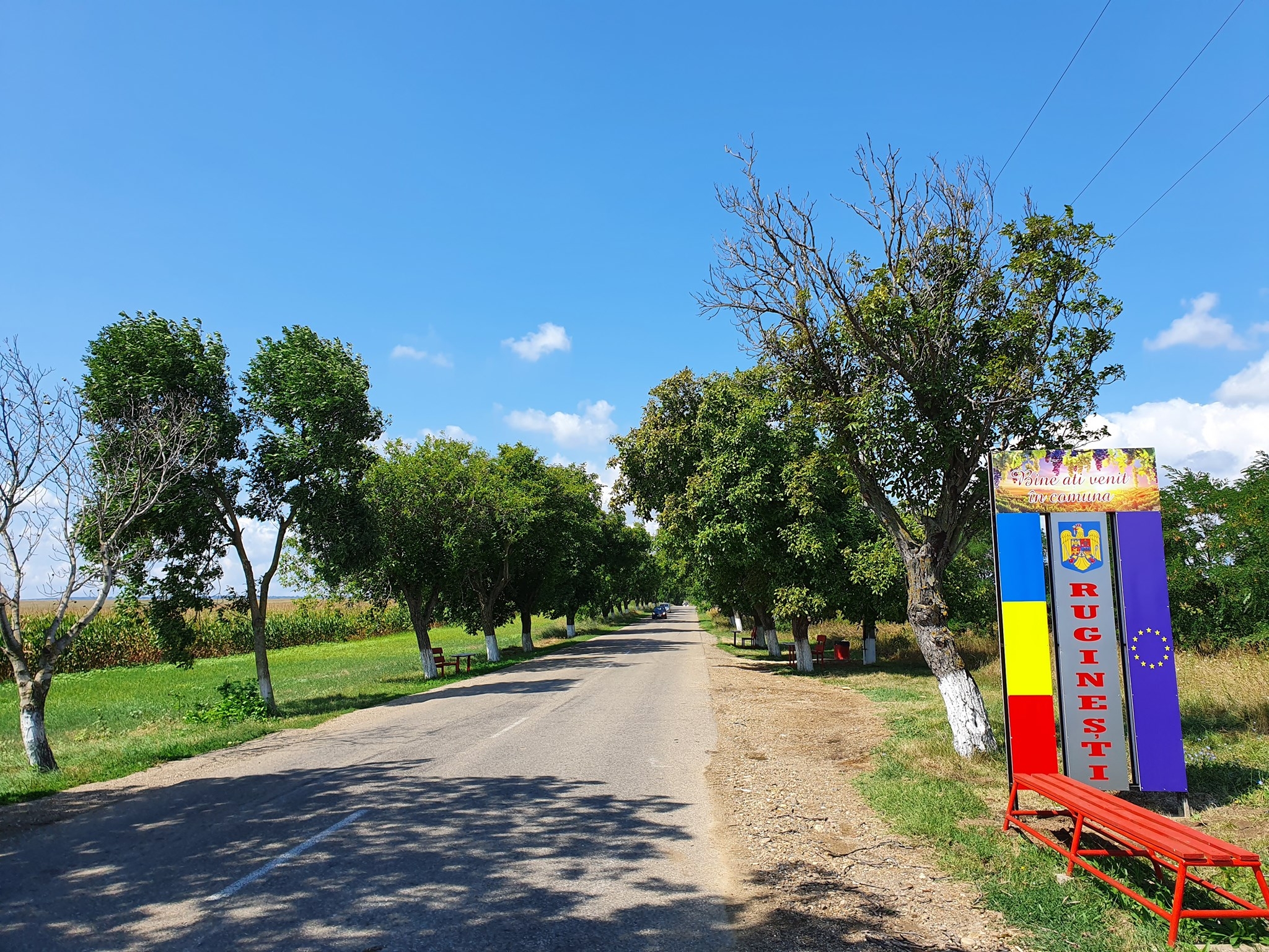 PRIMĂRIA RUGINEŞTI