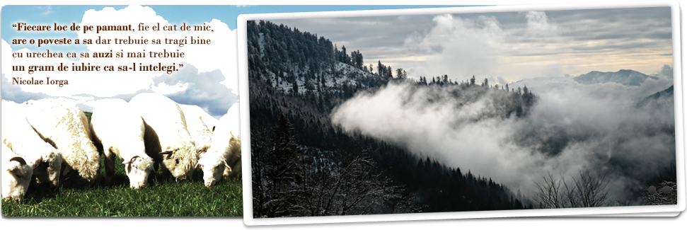 PRIMĂRIA LUNCA ILVEI