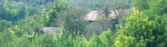 PRIMĂRIA SANTA MARE