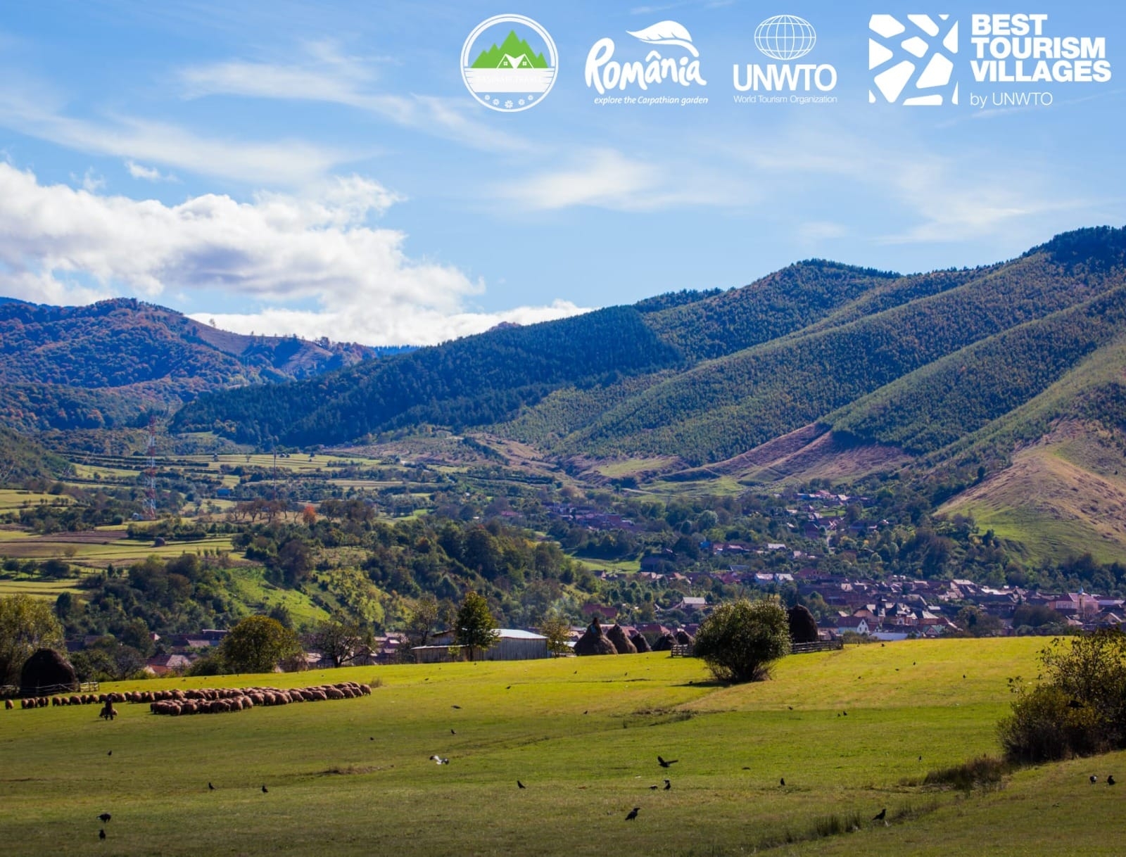 PRIMĂRIA RĂŞINARI