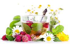 NUTRI - PLANT - MED SRL