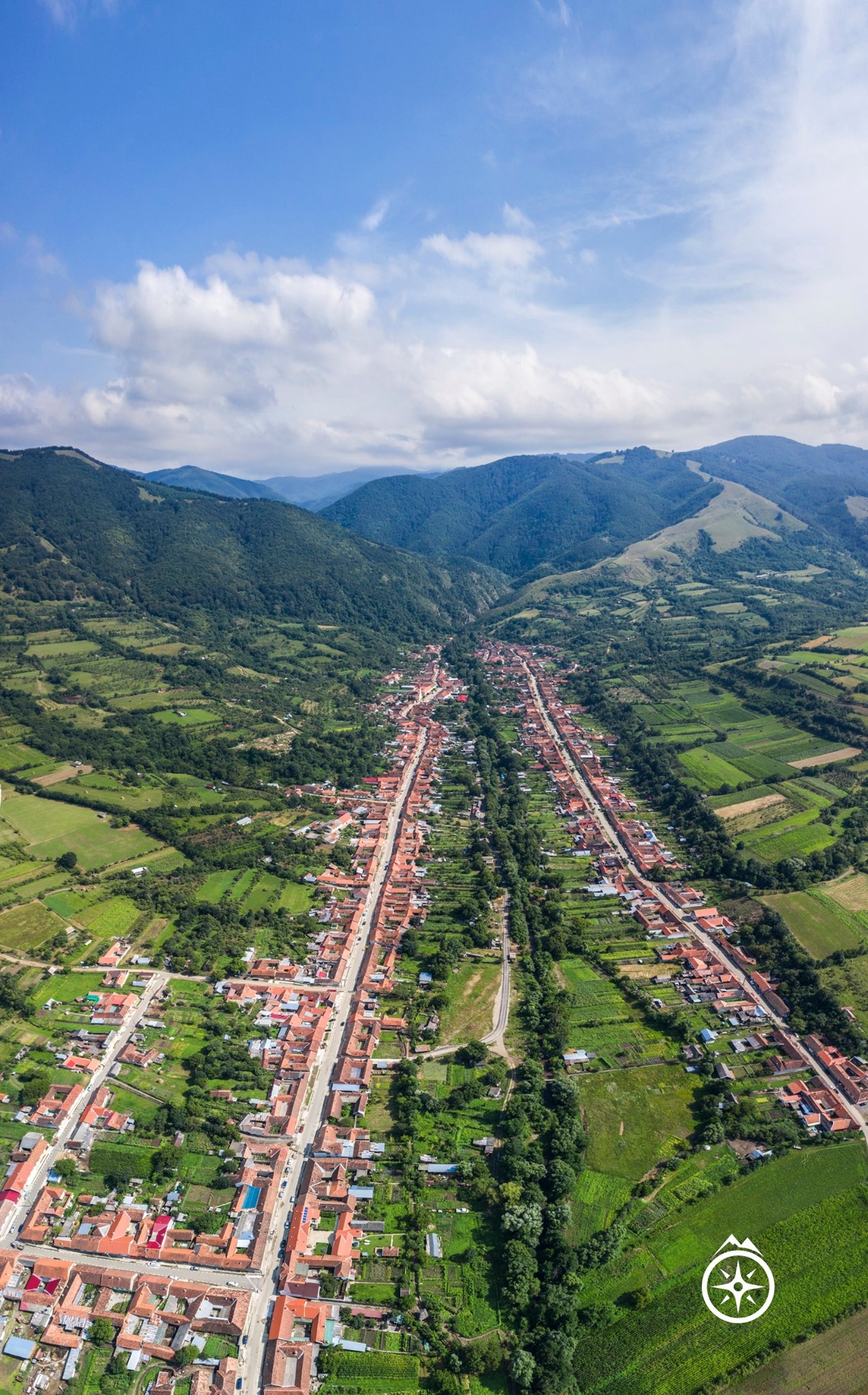 PRIMĂRIA EFTIMIE MURGU