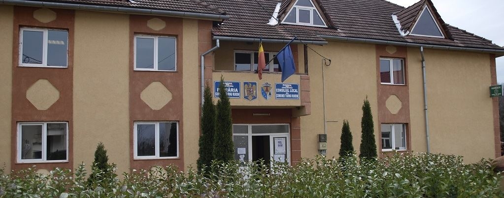 PRIMĂRIA TURNU RUIENI