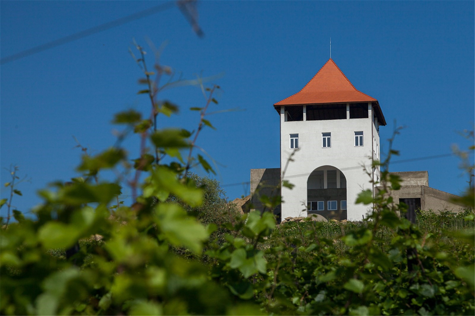 CRAMA VILLA VINEA CASTEL VINUM SRL