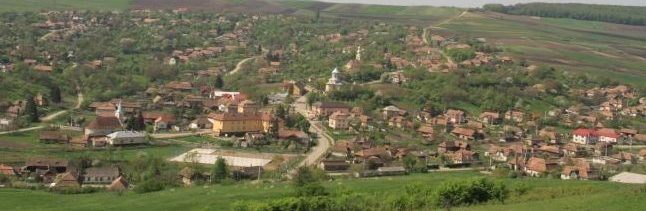 PRIMĂRIA CĂLĂRAŞI