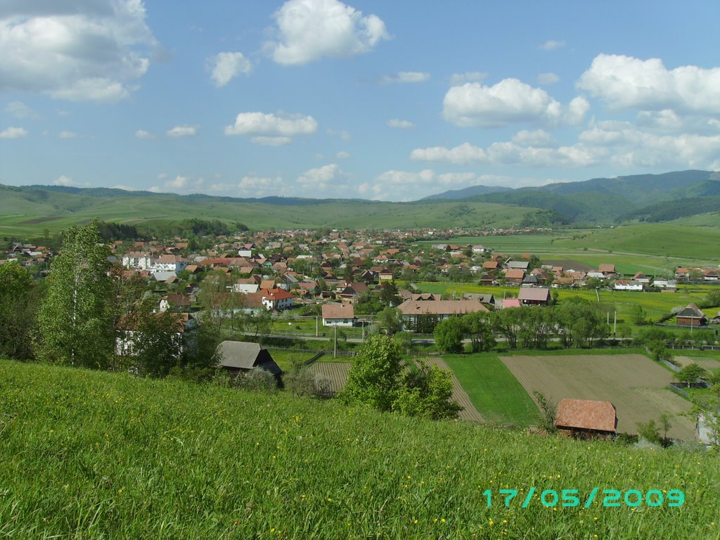 PRIMĂRIA PLĂIEŞII DE JOS