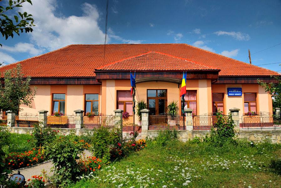 PRIMĂRIA DĂRMĂNEŞTI