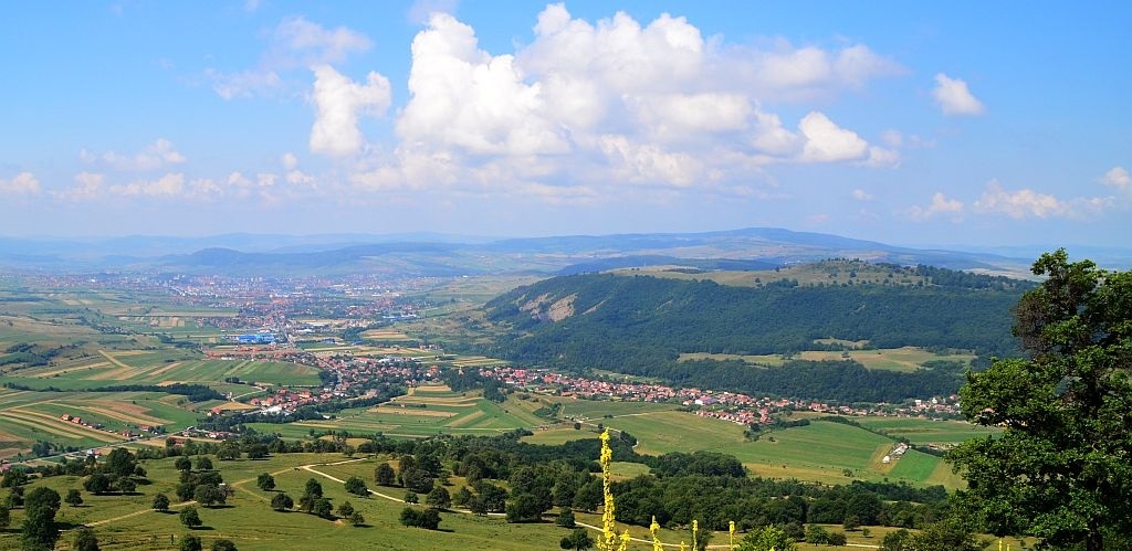 PRIMĂRIA BRĂDEŞTI