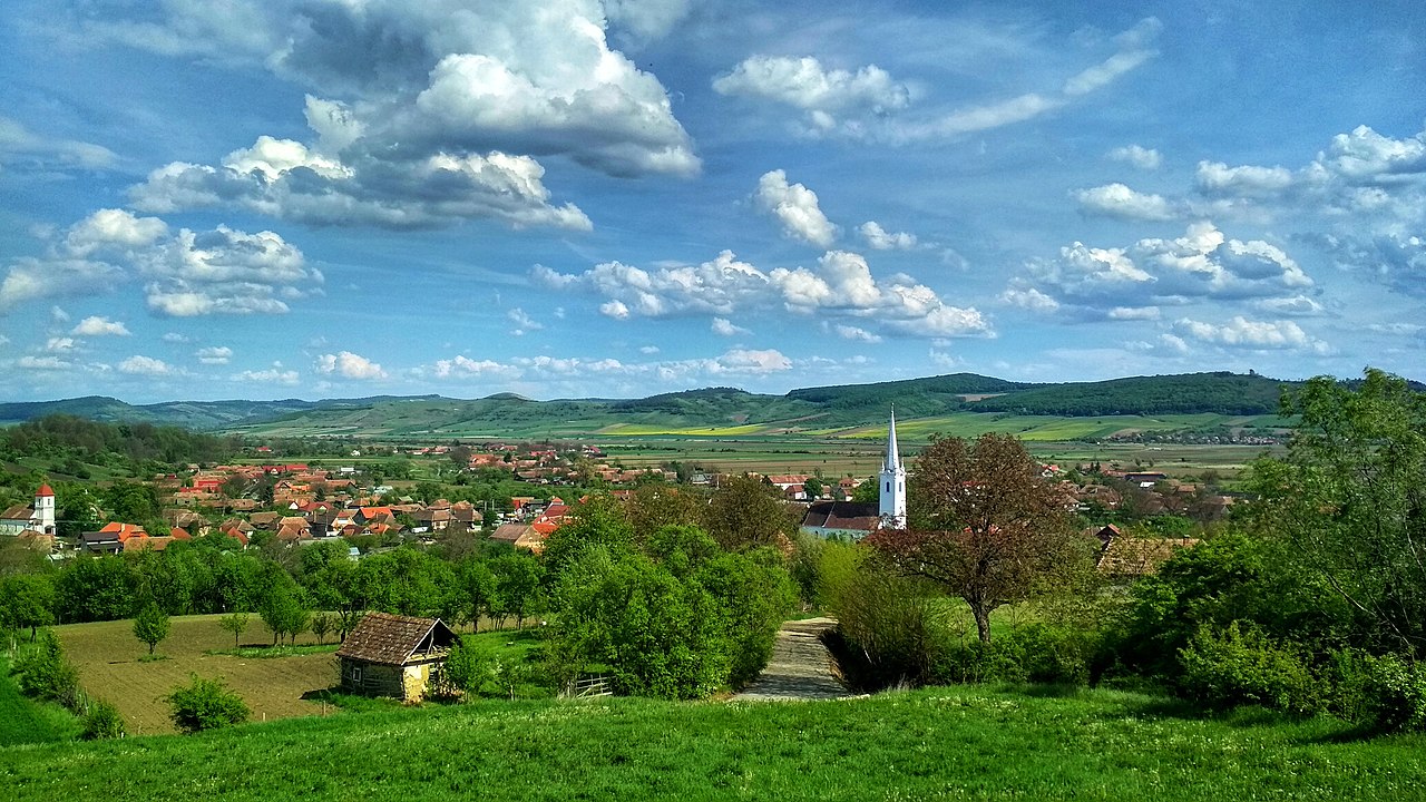 PRIMĂRIA PĂSĂRENI