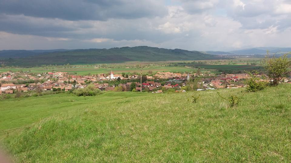 PRIMĂRIA VÂNĂTORI