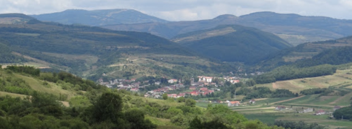 PRIMĂRIA CĂIANU MIC