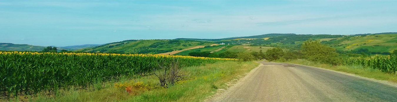 PRIMĂRIA DEALU MORII