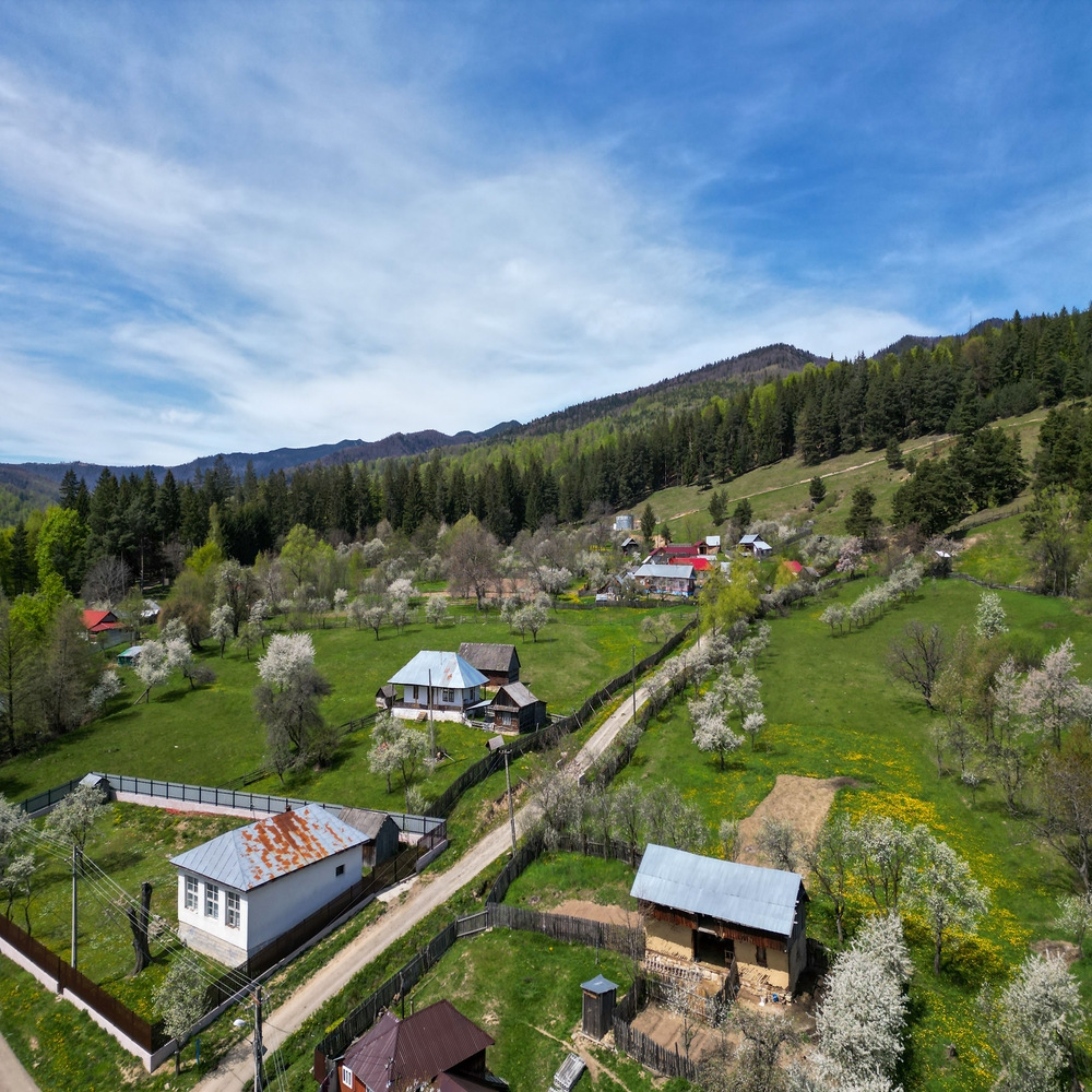 PRIMĂRIA NISTOREŞTI