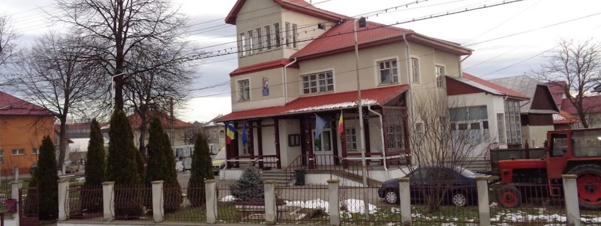 PRIMĂRIA DORNEŞTI