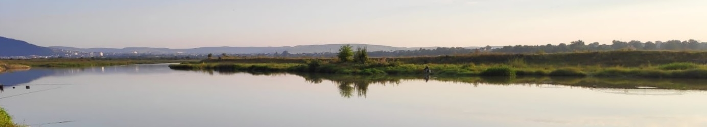 PRIMĂRIA DUMBRAVA ROŞIE
