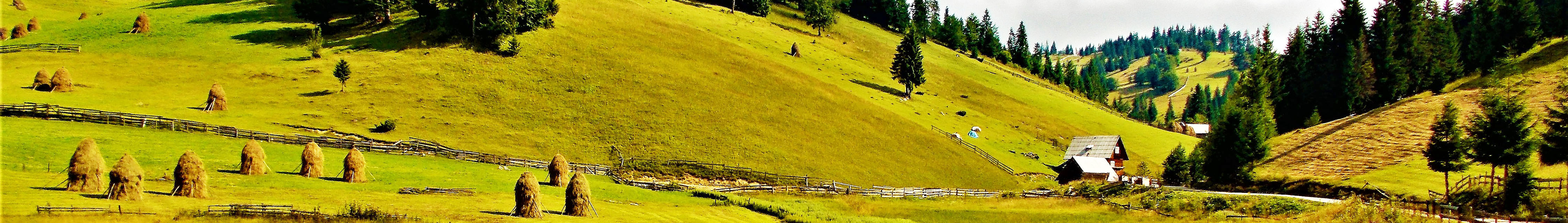 PRIMĂRIA GÂRDA DE SUS