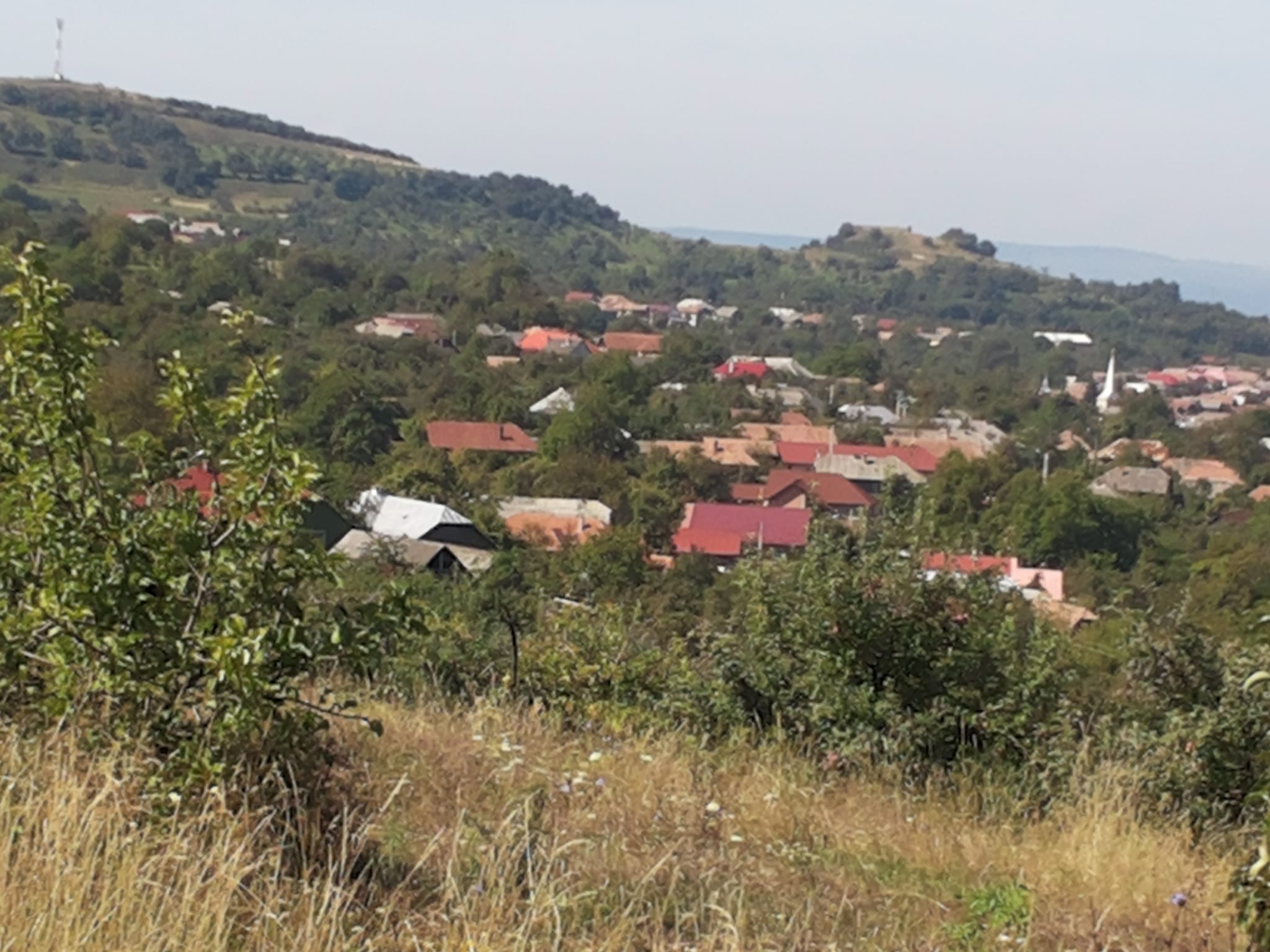 PRIMĂRIA BRANIŞTEA