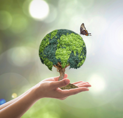 EUROPLAST ROMANIA SRL