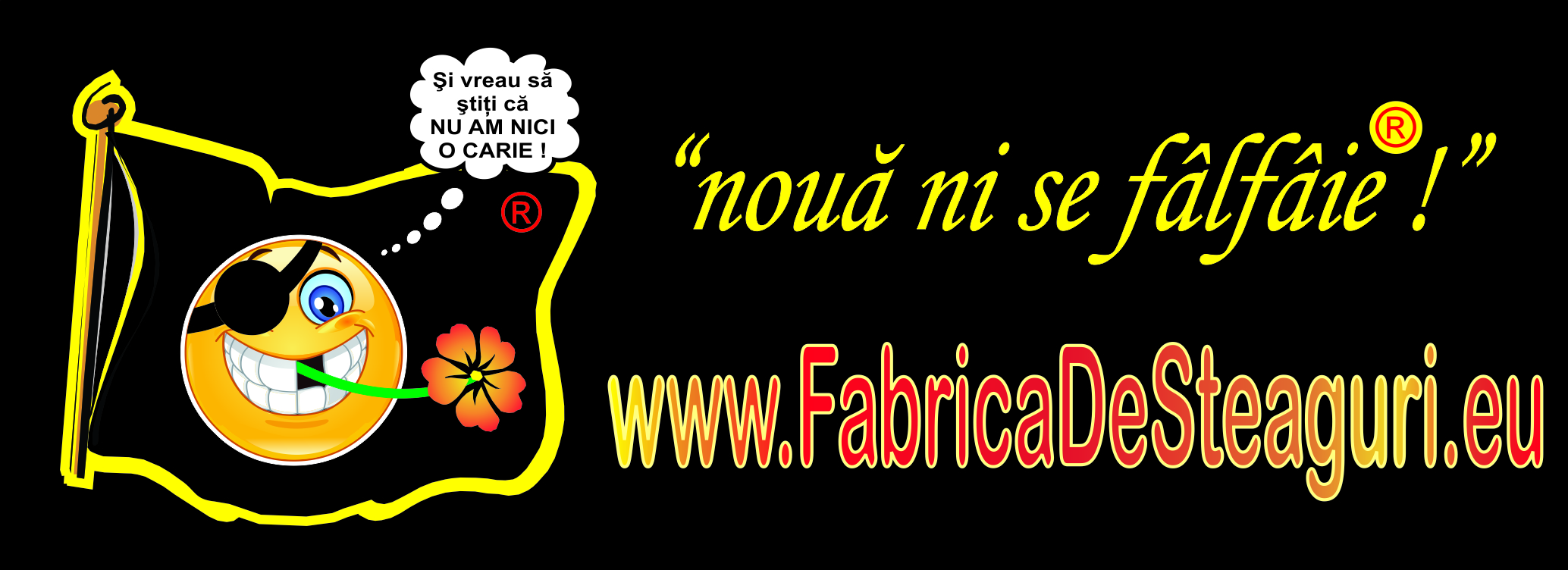 FABRICA DE STEAGURI SRL