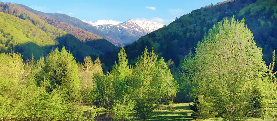 MONTANA TURIST SRL - PENSIUNEA PARADISUL NATURII