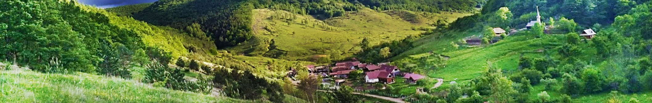 PRIMĂRIA MIRĂSLĂU