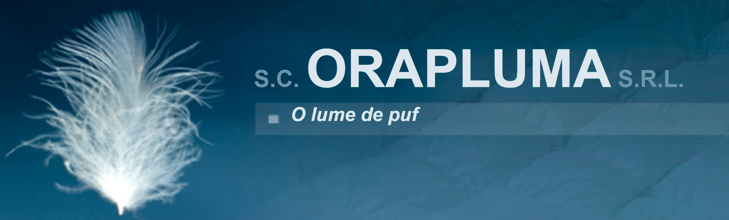 ORAPLUMA SRL