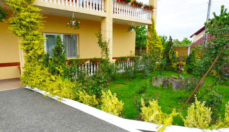 INTER COM SUPER SRL - MOTEL MOARA VECHE