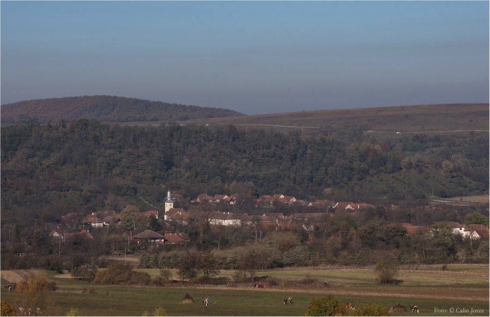 PRIMĂRIA ORĂŞTIOARA DE SUS