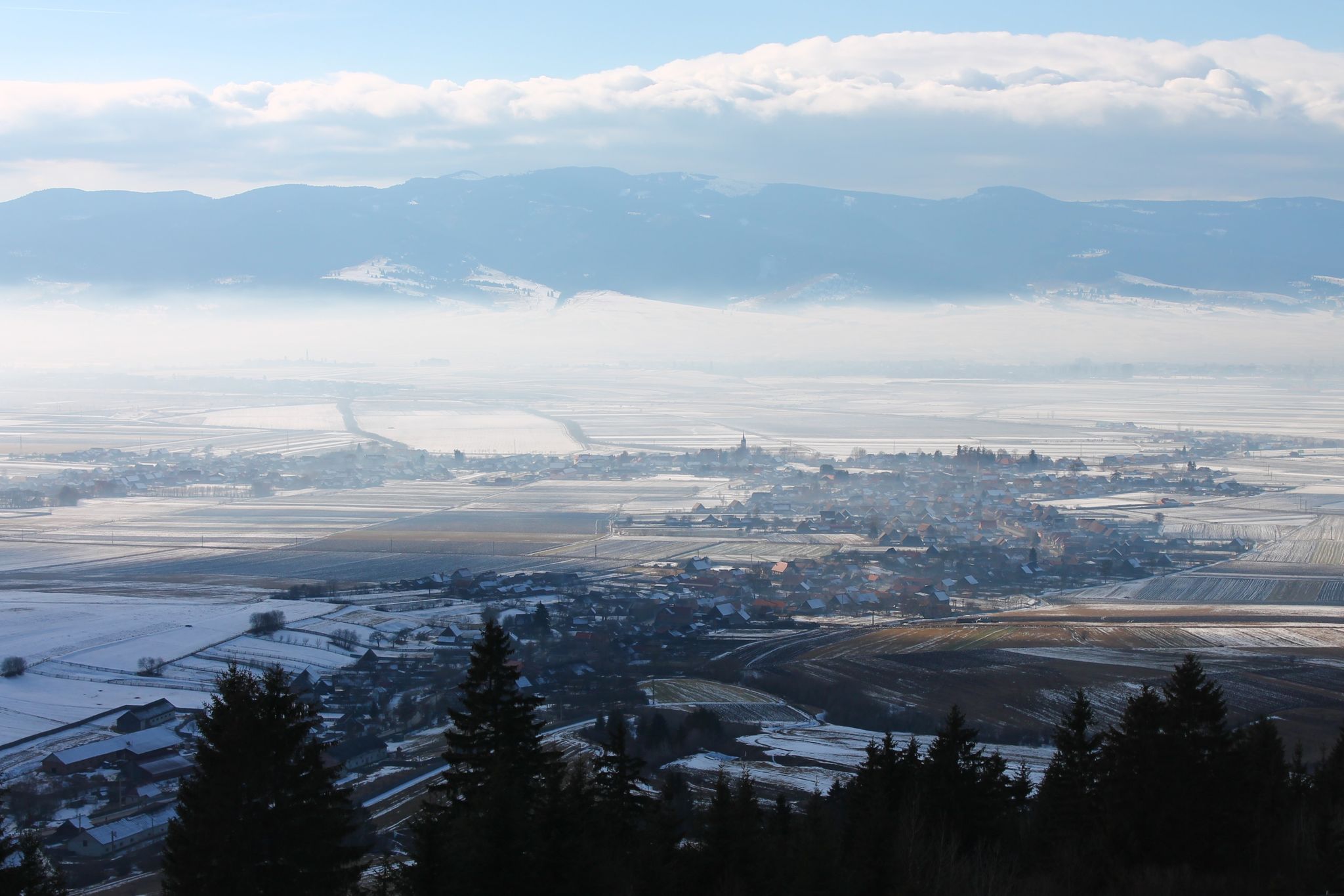 PRIMĂRIA SÂNMARTIN