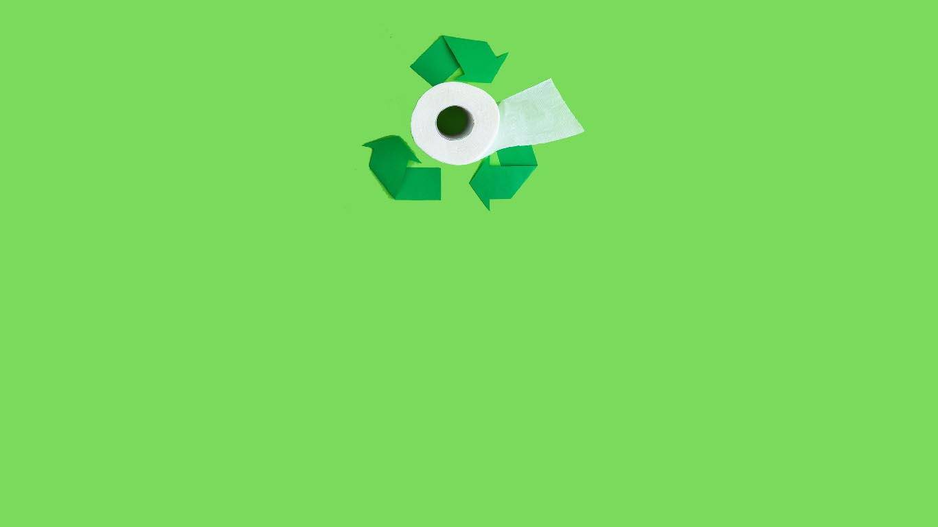 TOALETE ECOLOGICE SRL