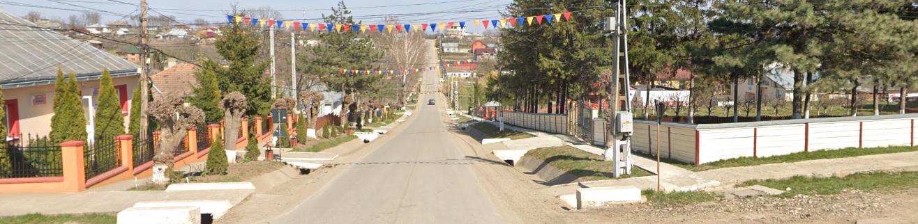 PRIMĂRIA CĂLĂRAŞI