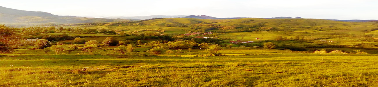 PRIMĂRIA ALMAŞU MARE