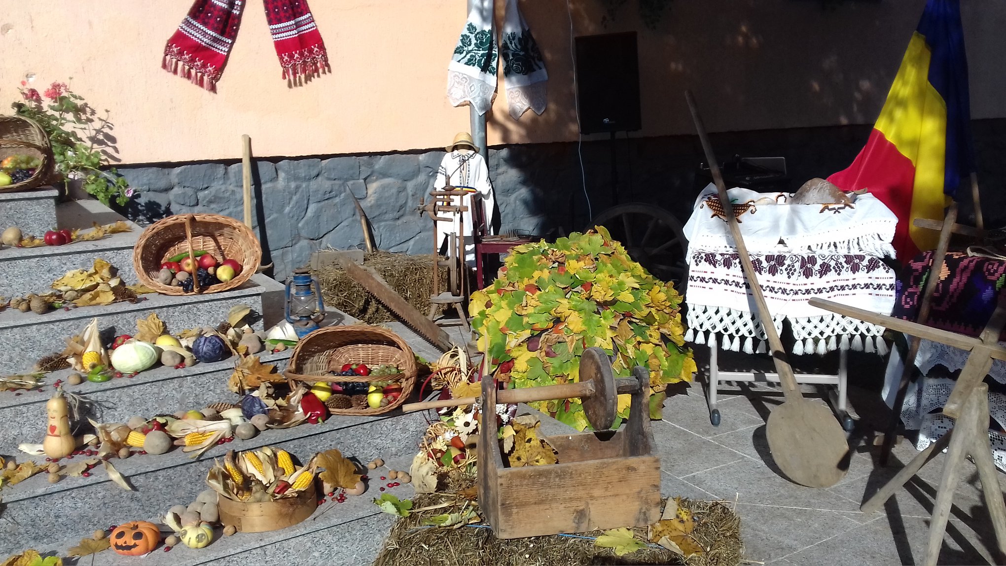 PRIMĂRIA BĂIŞOARA