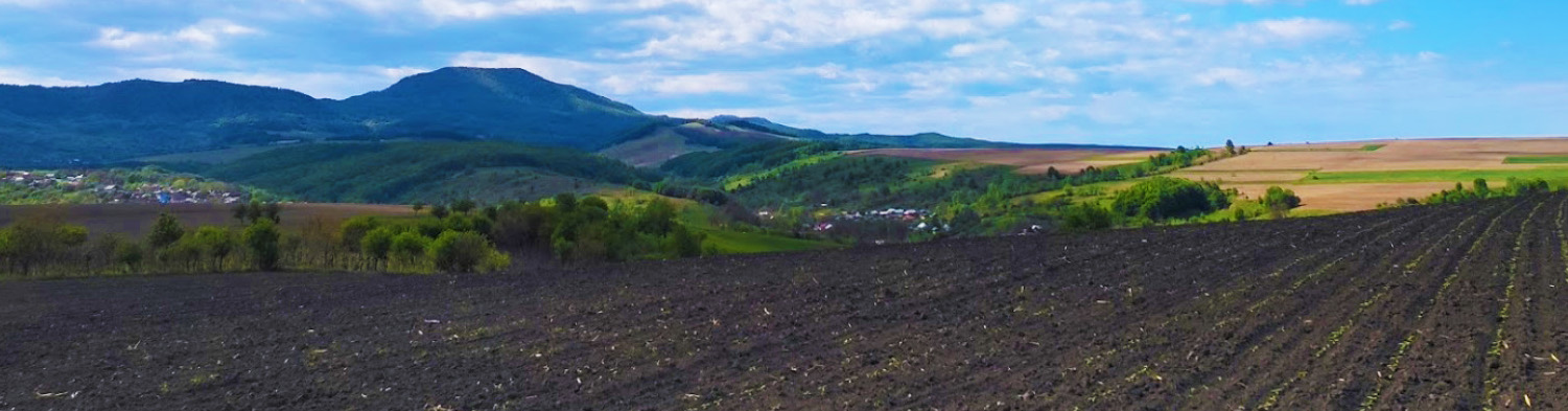 PRIMĂRIA BÂRSĂNEŞTI