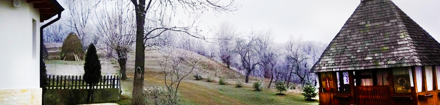 PRIMĂRIA BRĂDULEŢ