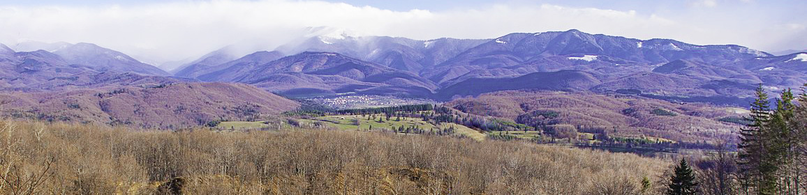 PRIMĂRIA BUGHEA DE JOS