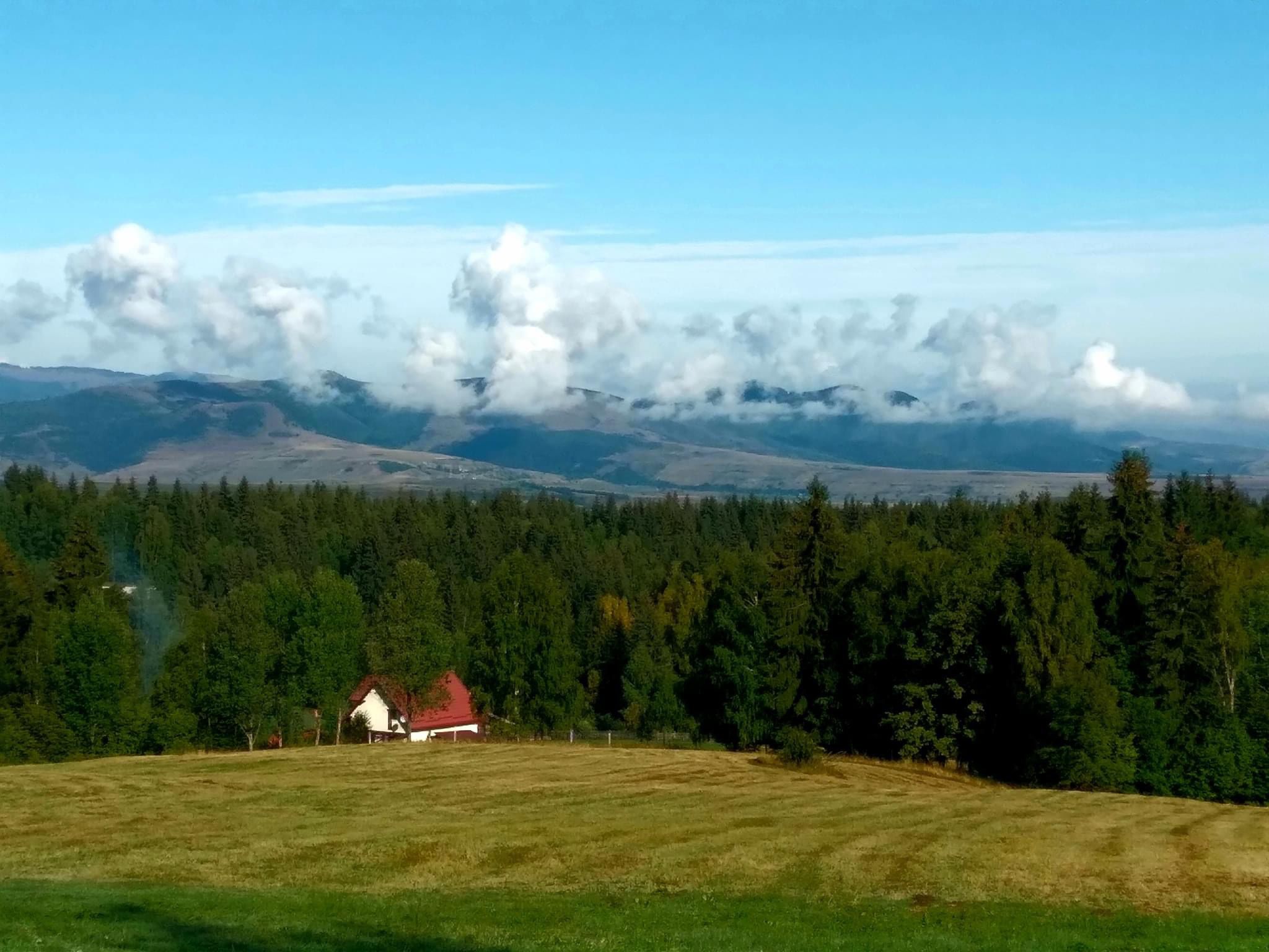 PRIMĂRIA CĂLĂŢELE