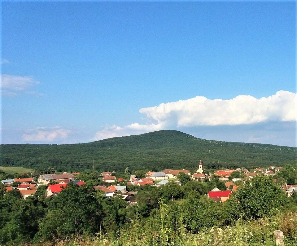 PRIMĂRIA CĂRBUNARI