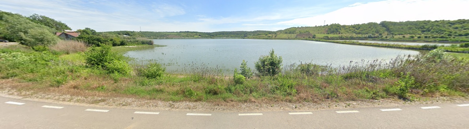 PRIMĂRIA CĂSCIOARELE