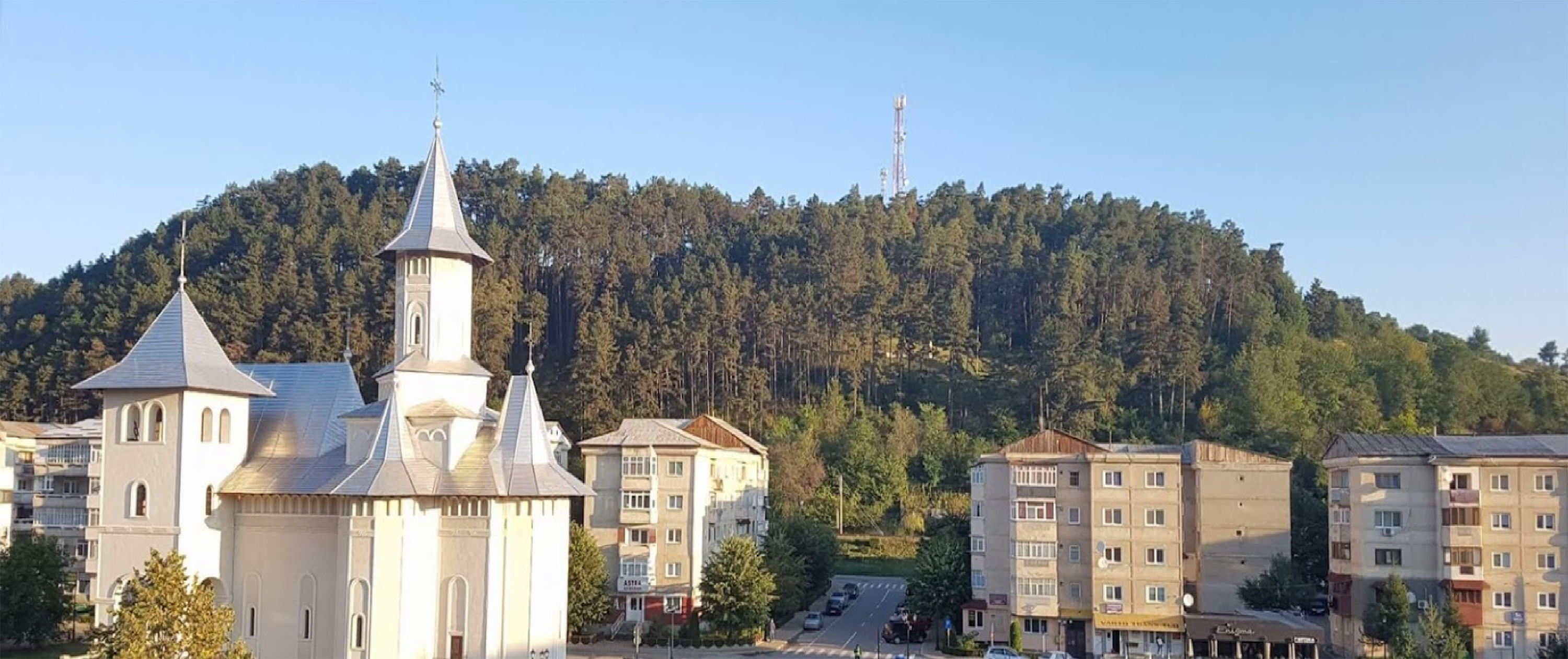 PRIMĂRIA COMĂNEŞTI